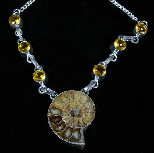 Fossil Ammonite Necklace #3373